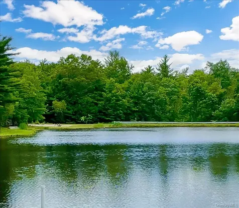 50 Meghan Court Pine Bush NY 12566