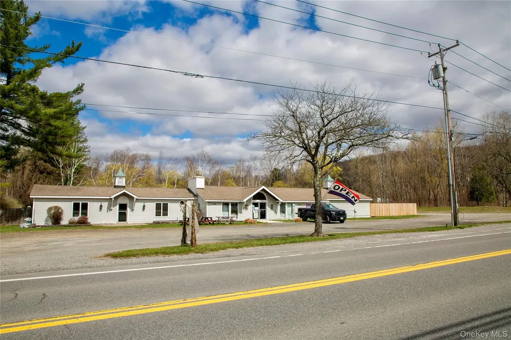 3815-3817 Route 44 Millbrook NY 12545