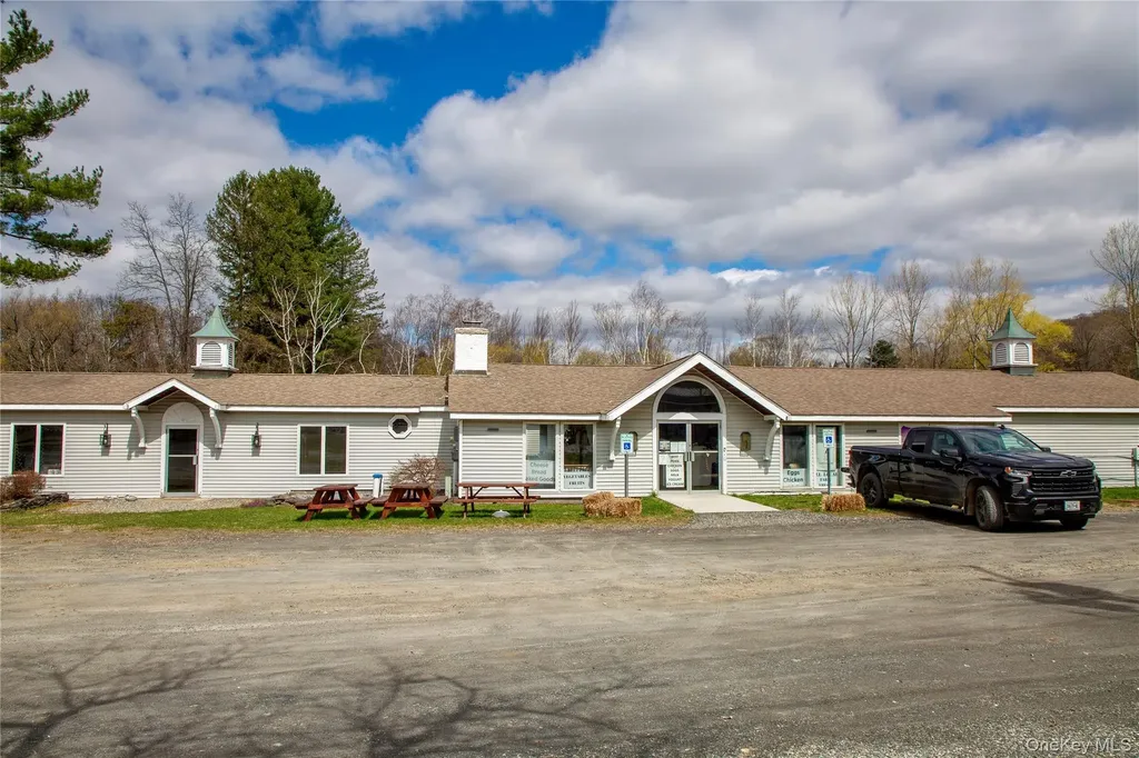 3815-3817 Route 44 Millbrook NY 12545