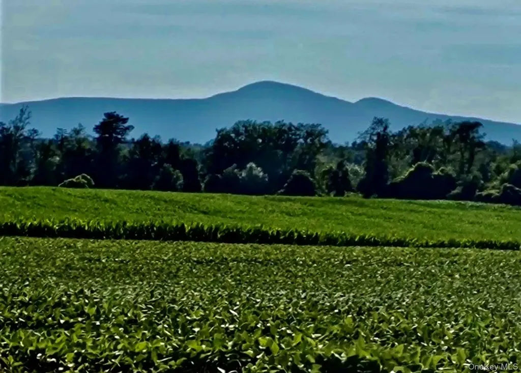 Route 9 Hudson NY 12541