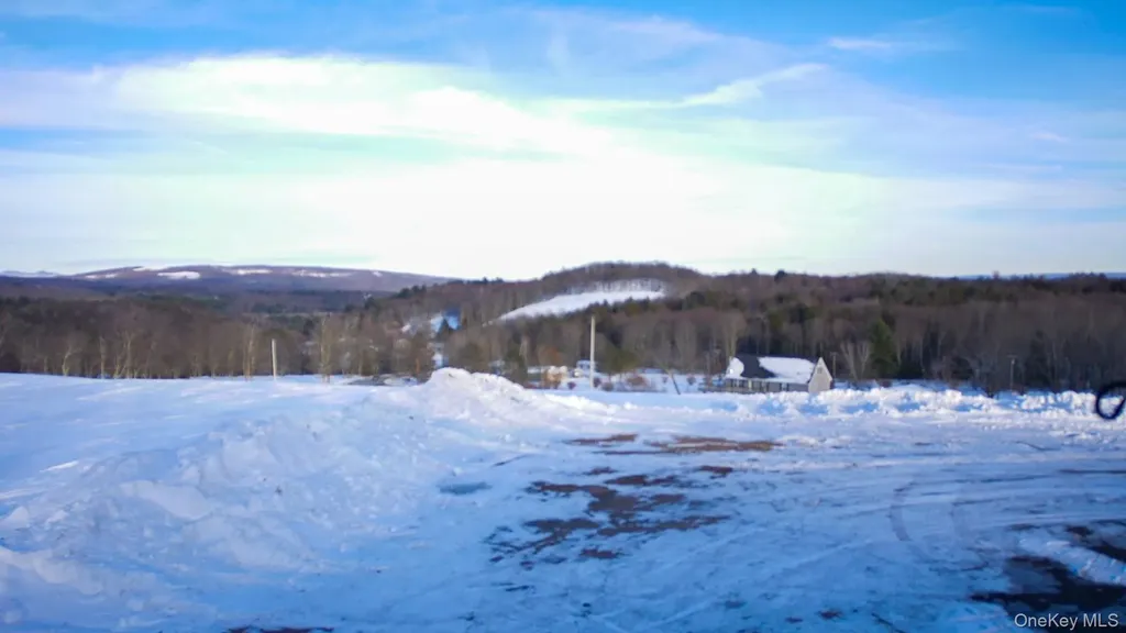 6 Rock View Lane Loch Sheldrake NY 12759