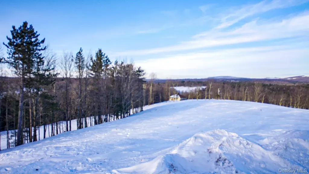6 Rock View Lane Loch Sheldrake NY 12759