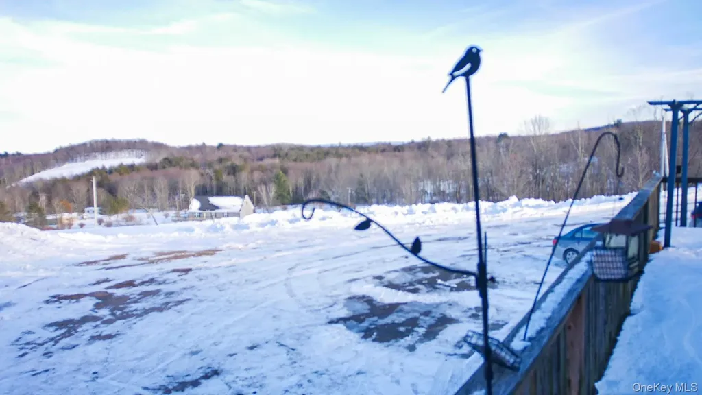 6 Rock View Lane Loch Sheldrake NY 12759