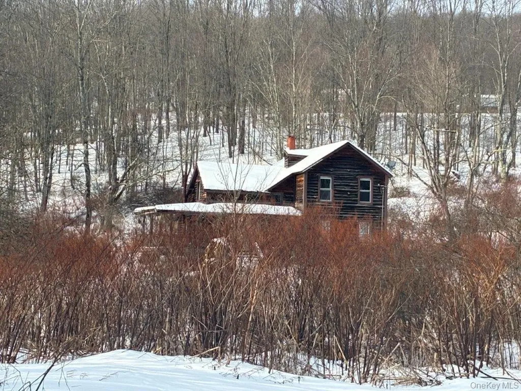 921 Milton Smith Road Long Eddy NY 12760