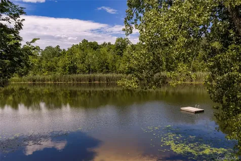 119 Fern Hill Road Ghent NY 12075
