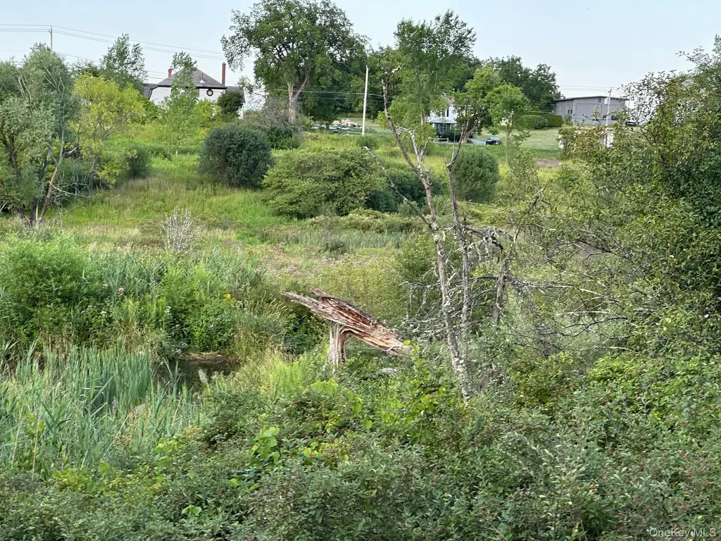 49 Veterans Road Call Listing Agent NY 12883
