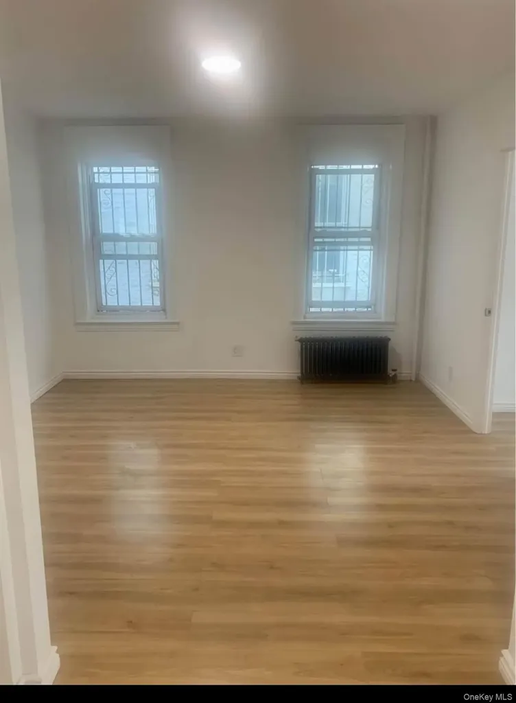159 E 93rd Street Brooklyn NY 11226