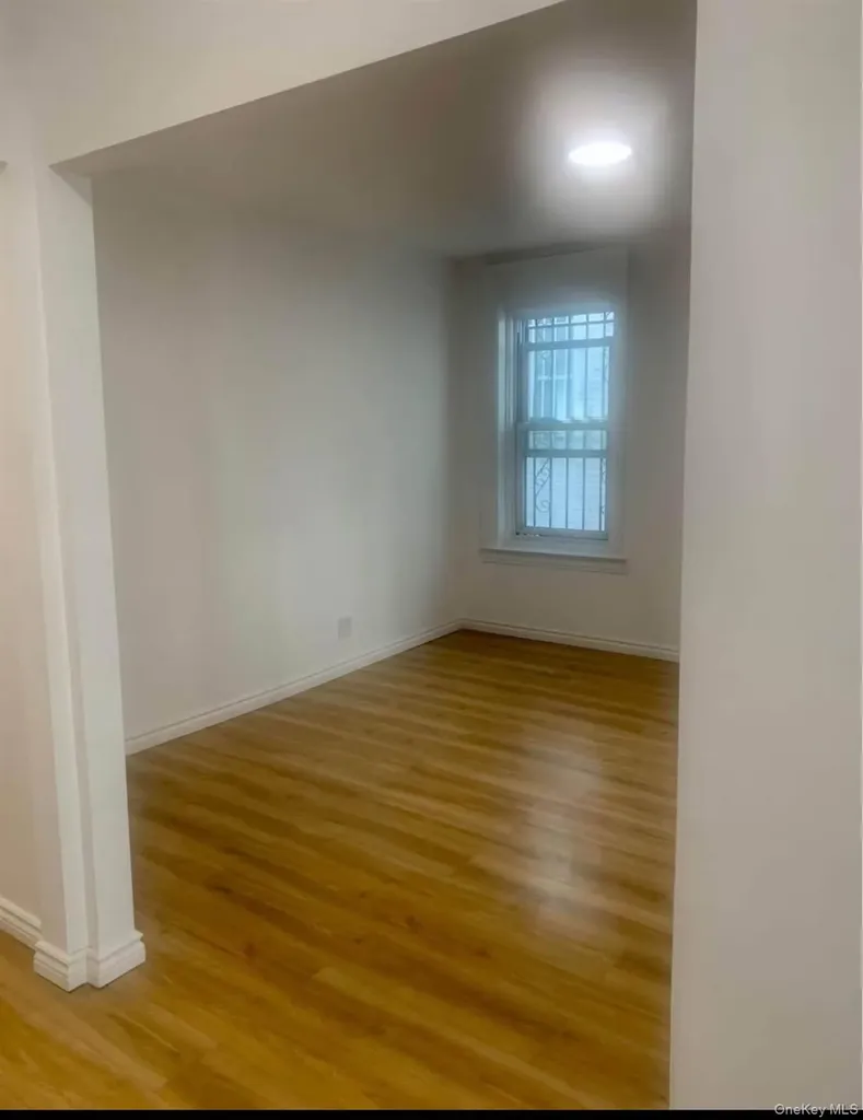 159 E 93rd Street Brooklyn NY 11226