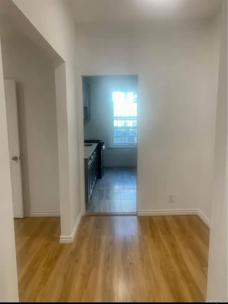 159 E 93rd Street Brooklyn NY 11226