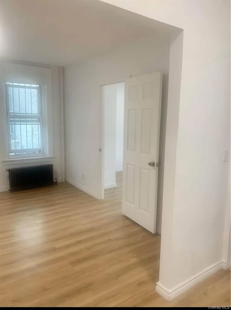 159 E 93rd Street Brooklyn NY 11226