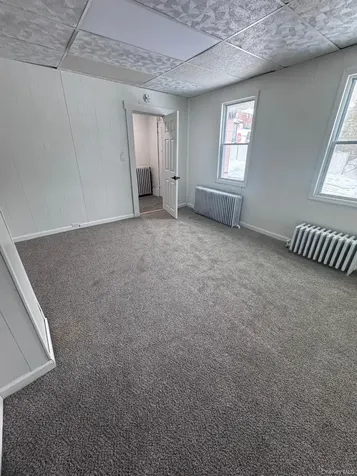 20 Sycamore Street Kingston NY 12401