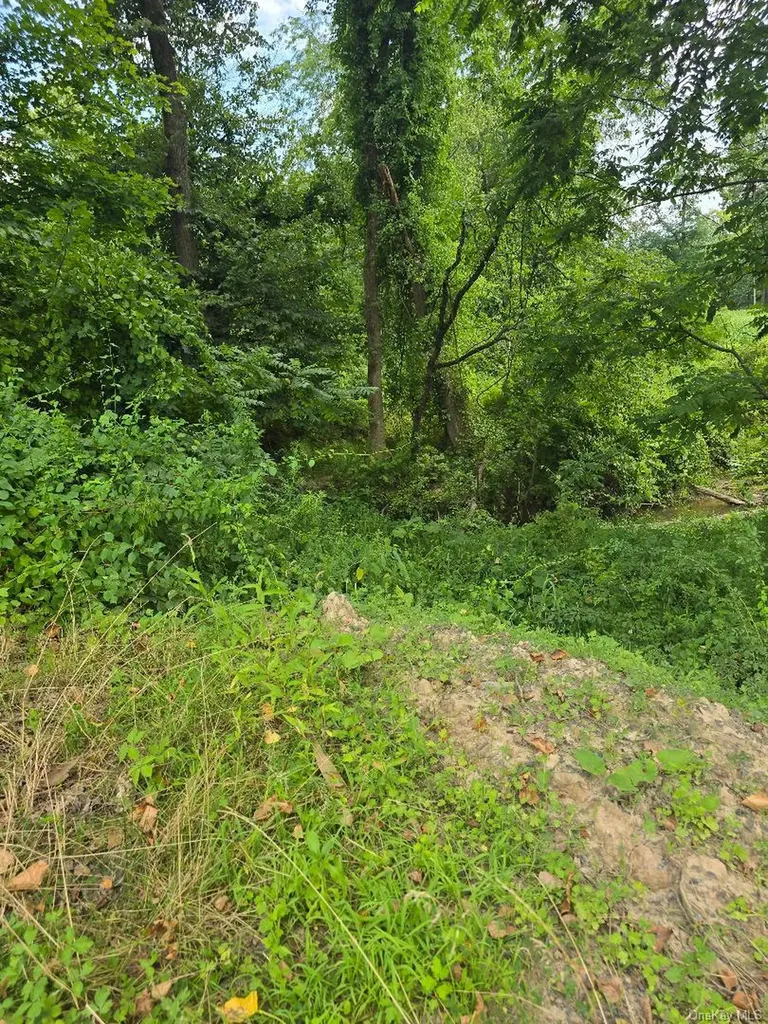 6437 Route 209 Kerhonkson NY 12446