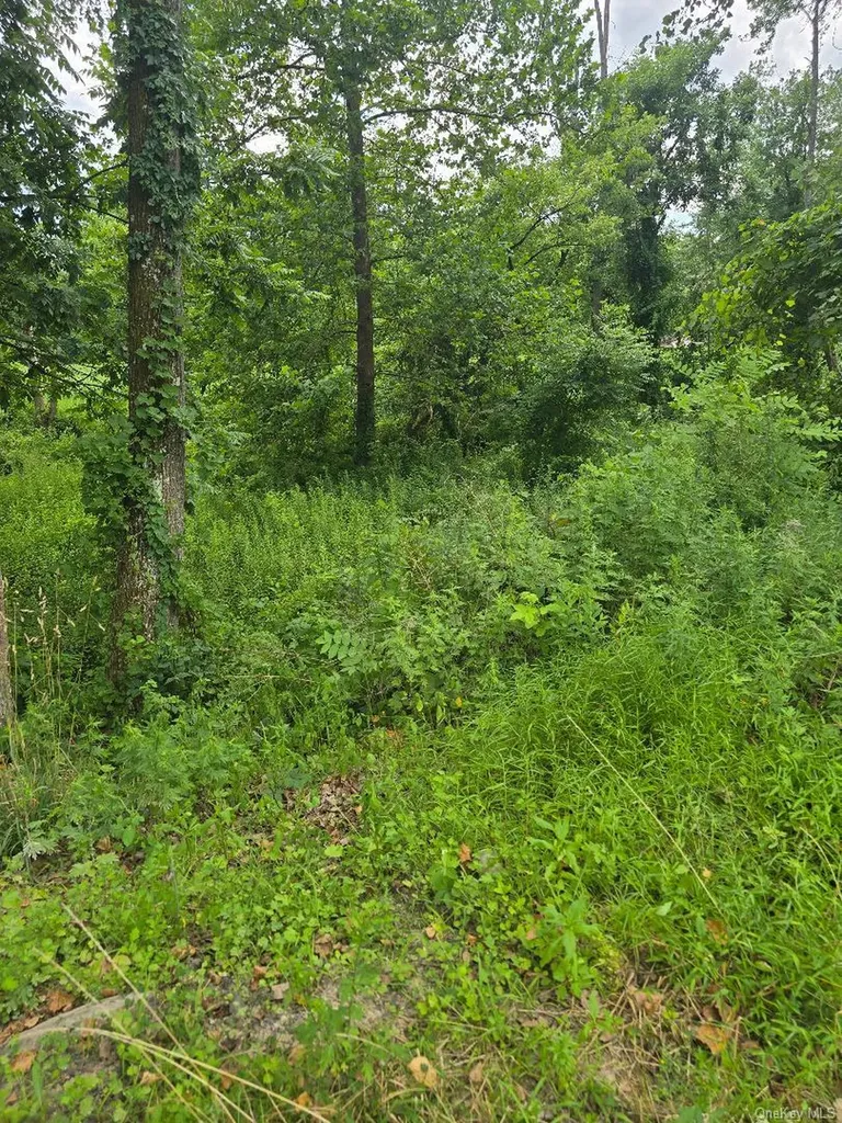 6437 Route 209 Kerhonkson NY 12446
