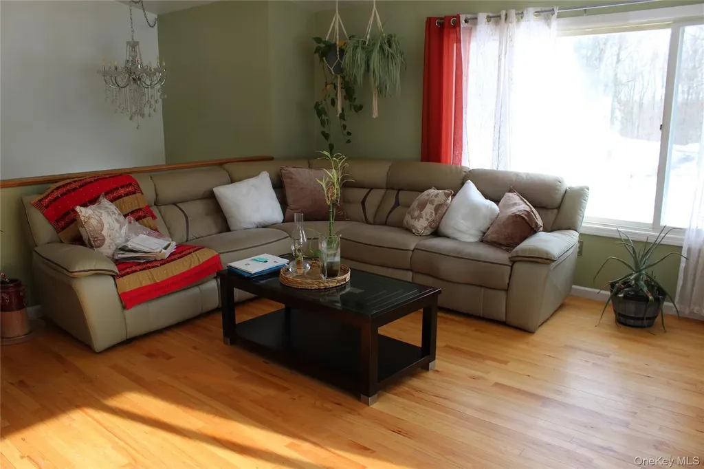 20 Patrick Drive Bloomingburg NY 12721