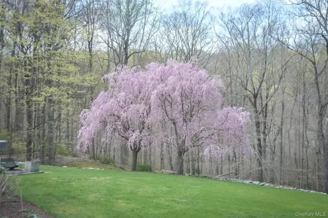9 Gifford Lake Drive Armonk NY 10504