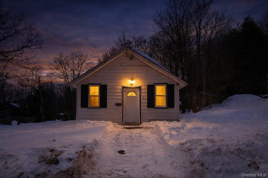24 Albion Street Liberty NY 12754