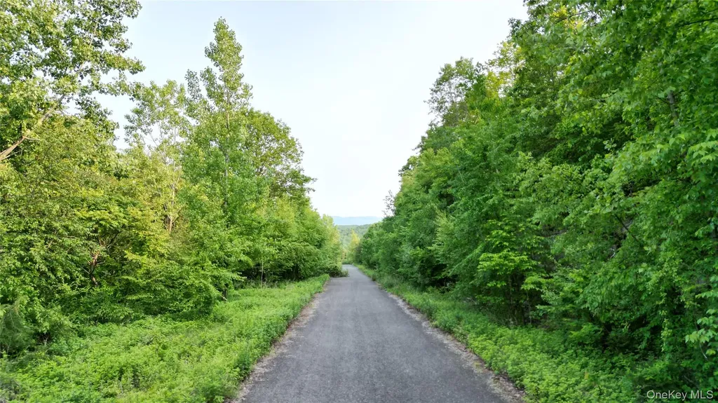 5 Truncali Drive Marlboro NY 12542
