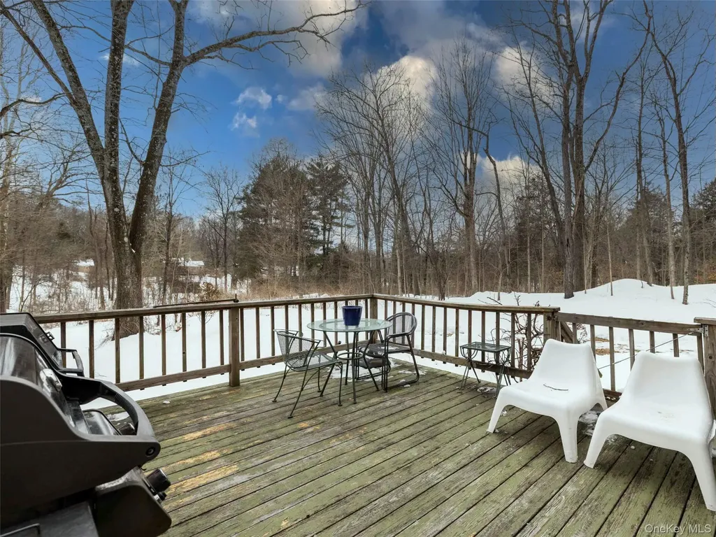74 Lemon Lane Rhinebeck NY 12572