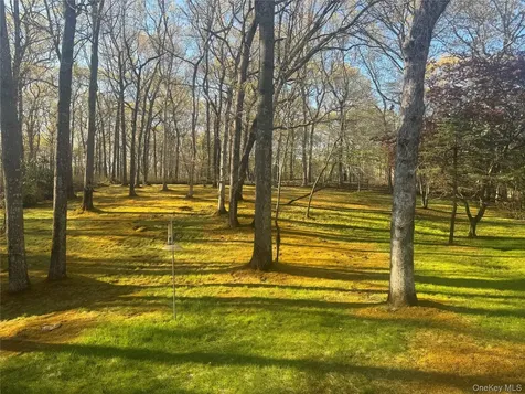 318-B Mill Road Manorville NY 11949