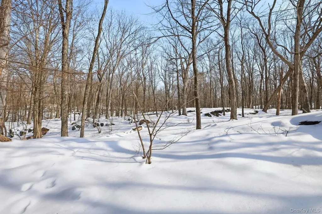 114 Old Lyme Road Chappaqua NY 10514