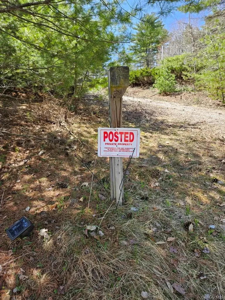226 Park Road Call Listing Agent NY 12843