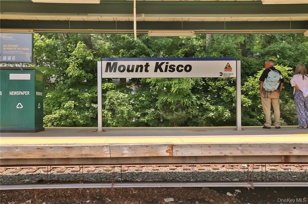 1303 Regent Drive Mount Kisco NY 10549
