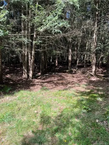 000 Cooper Drive Road Kauneonga Lake NY 12783