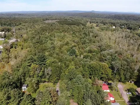 000 Cooper Drive Road Kauneonga Lake NY 12783