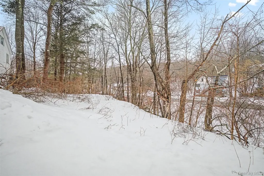 2 Station Hill Road Ferndale NY 12734
