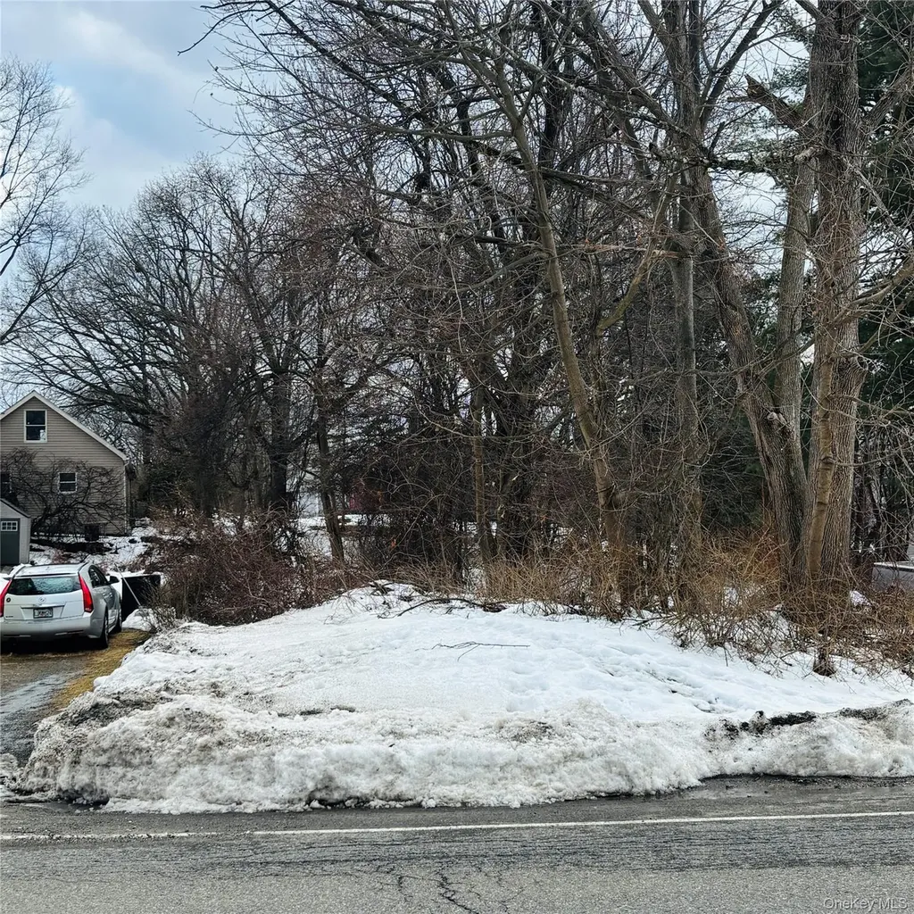 Between 229 And 231 Westchester Avenue Buchanan NY 10511
