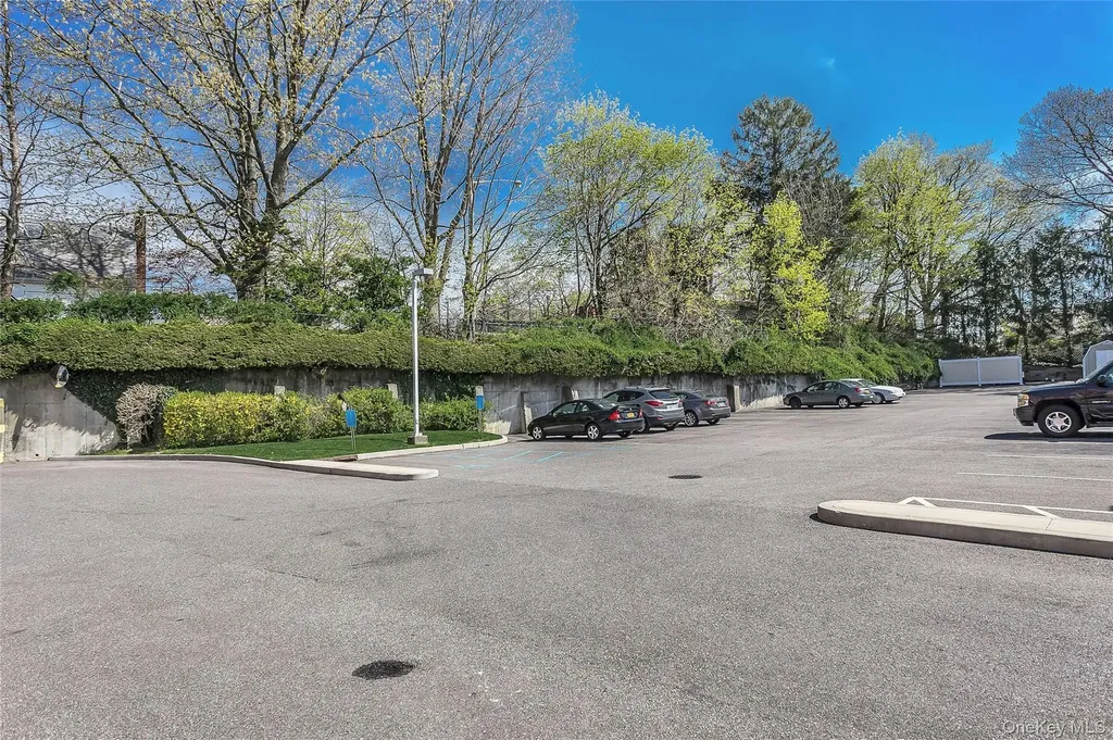 800 Willis Avenue Albertson NY 11507