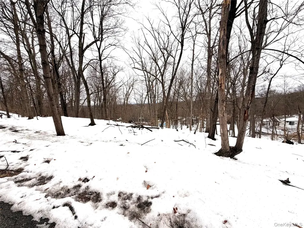 149 Sunset Drive Wappingers Falls NY 12590