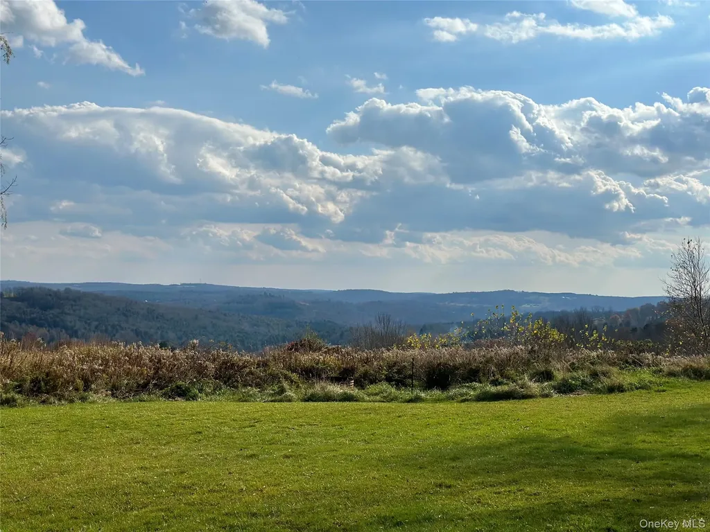 519 County Route 164 Callicoon NY 12723