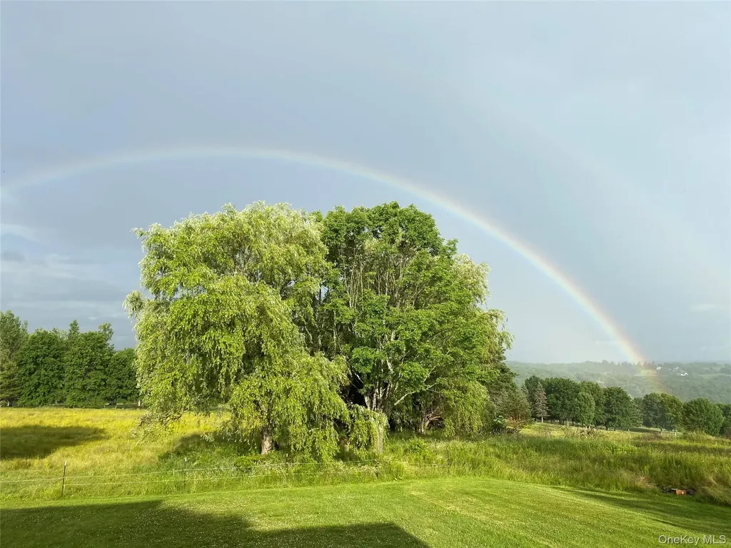 519 County Route 164 Callicoon NY 12723