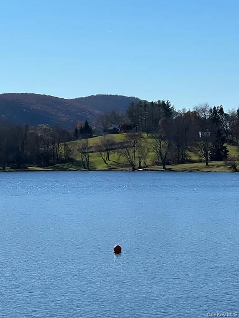 18 Alphonsa Court Salisbury Mills NY 12577
