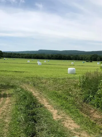 181 Huguenot Street New Paltz NY 12561