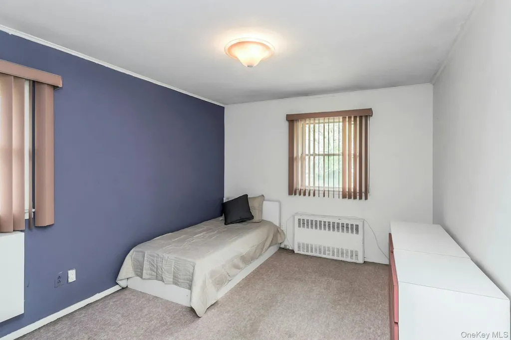 9 Avondale Road Plainview NY 11803