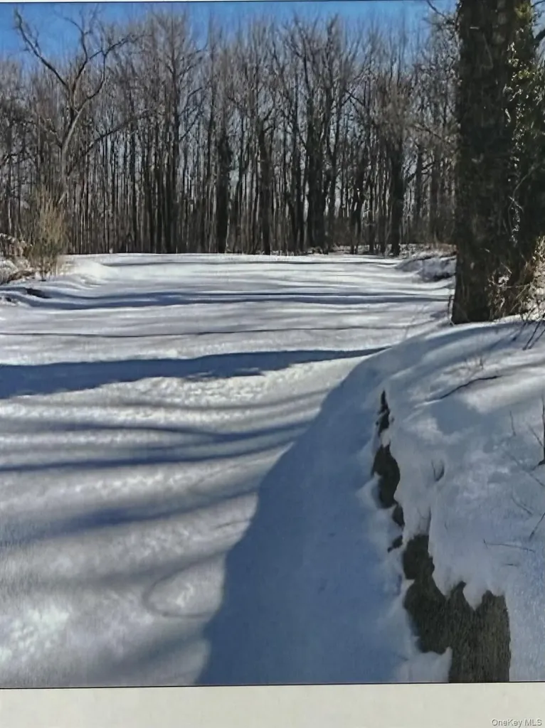 Lot #6 And #7 Plainview Road Huntington NY 11743