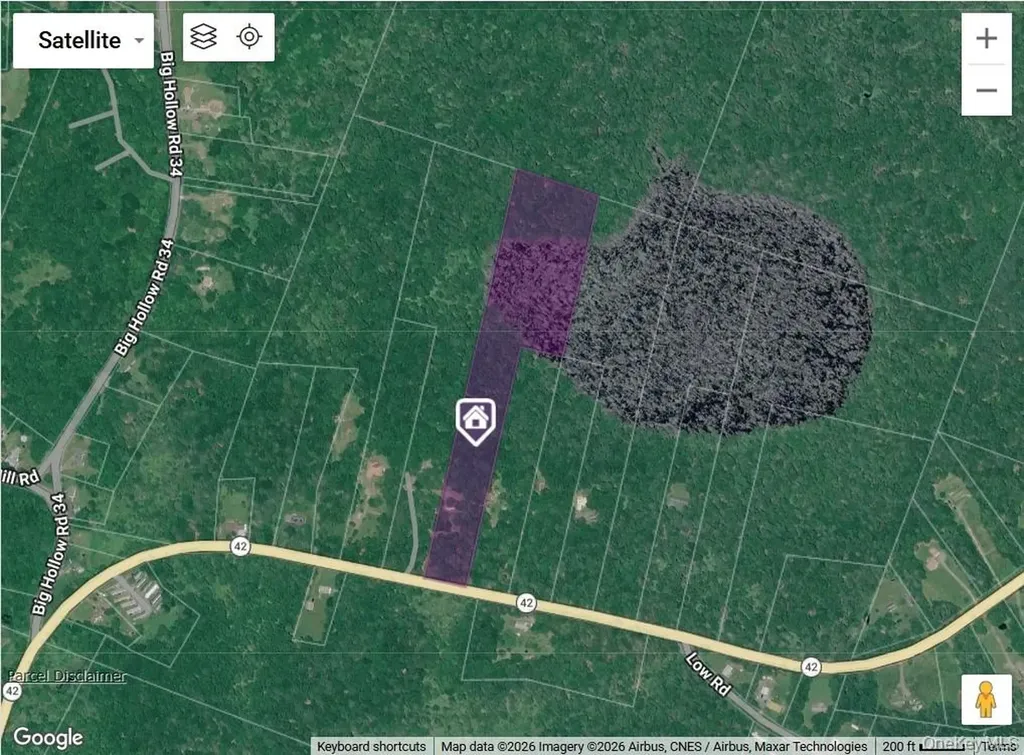 7173 State Route 42 Grahamsville NY 12740