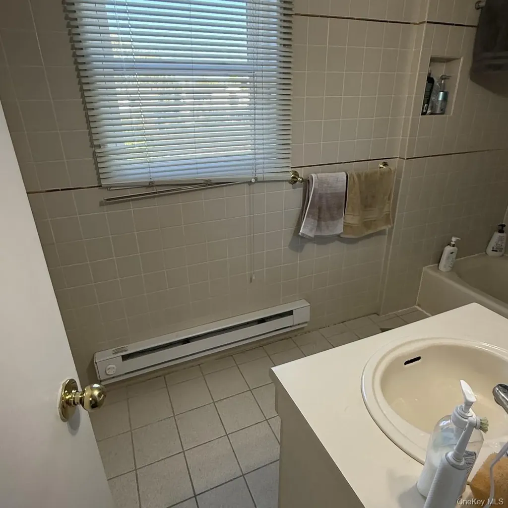 35 Rose Lane New Hyde Park NY 11040