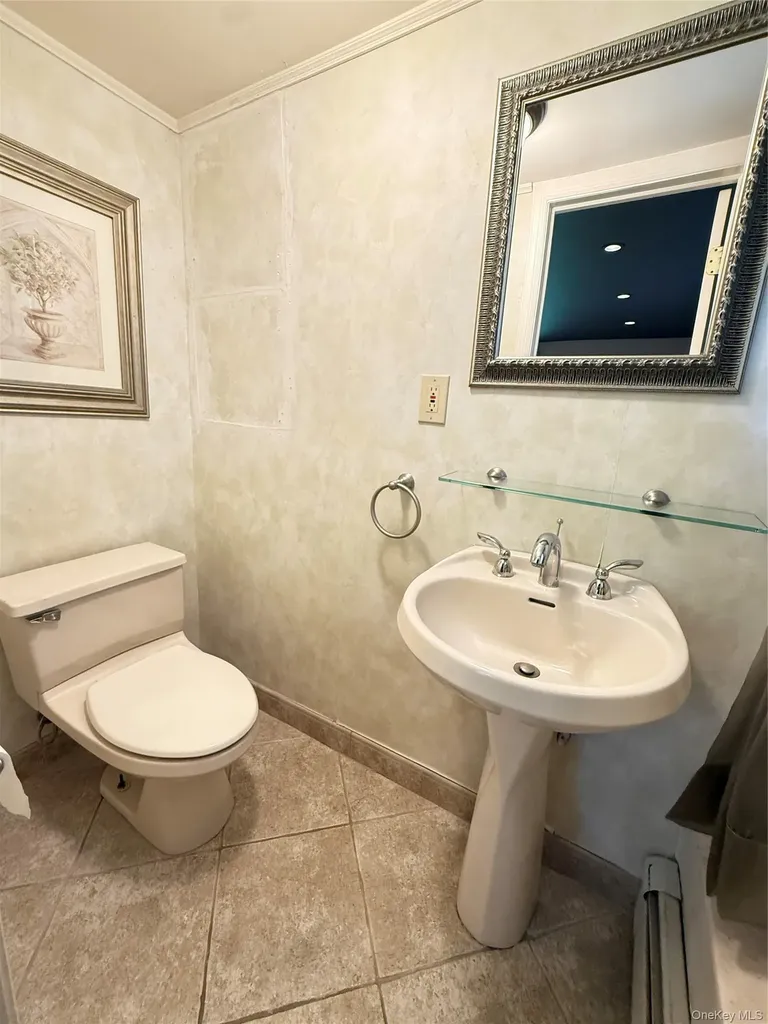 14 Millpond Jericho NY 11753