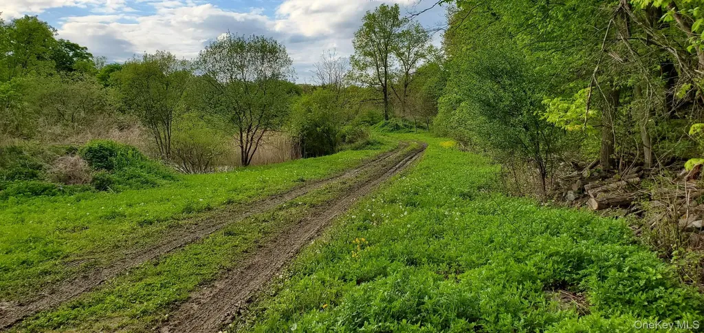 207 Cardinal Road Hyde Park NY 12538