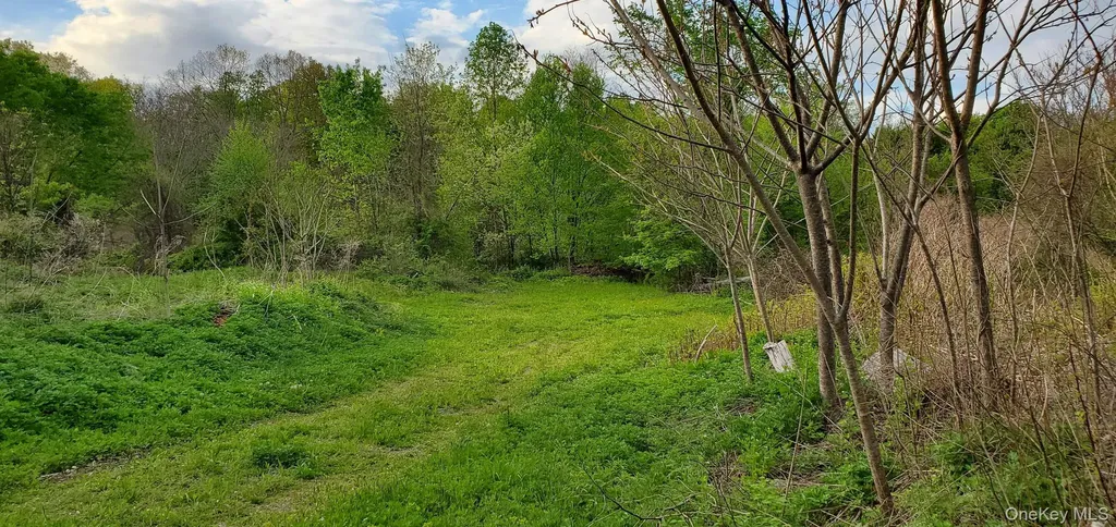 207 Cardinal Road Hyde Park NY 12538