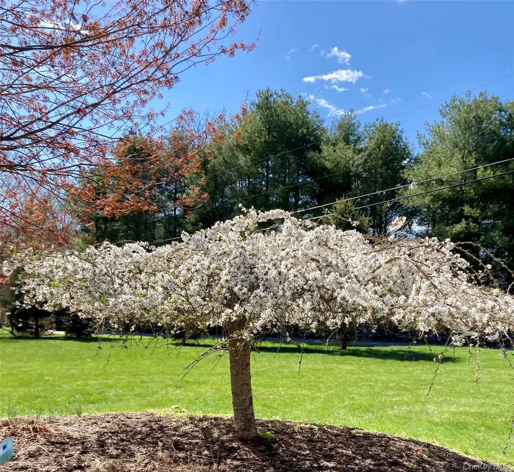 124 Rutsonville Road Wallkill NY 12589