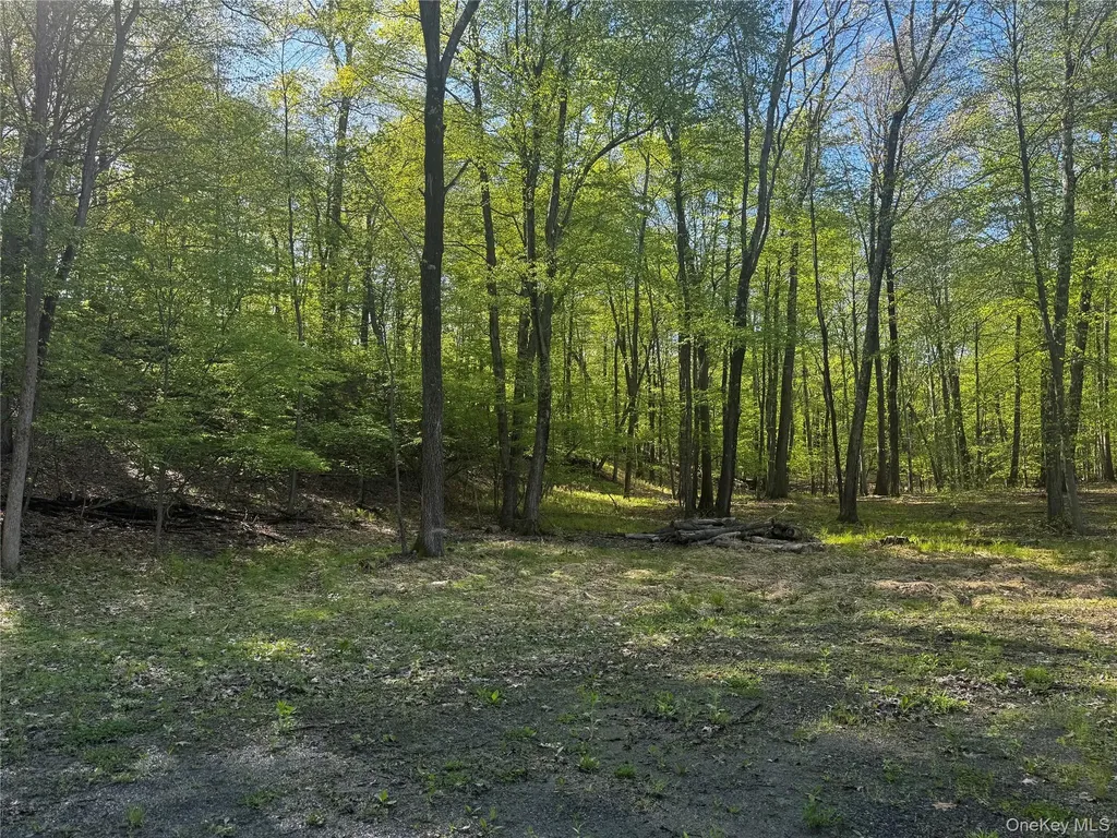 Hall Hill Road Ancram NY 12502