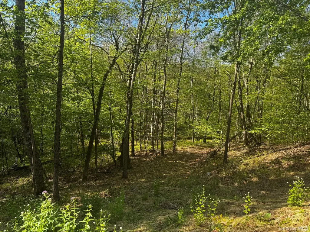 Hall Hill Road Ancram NY 12502