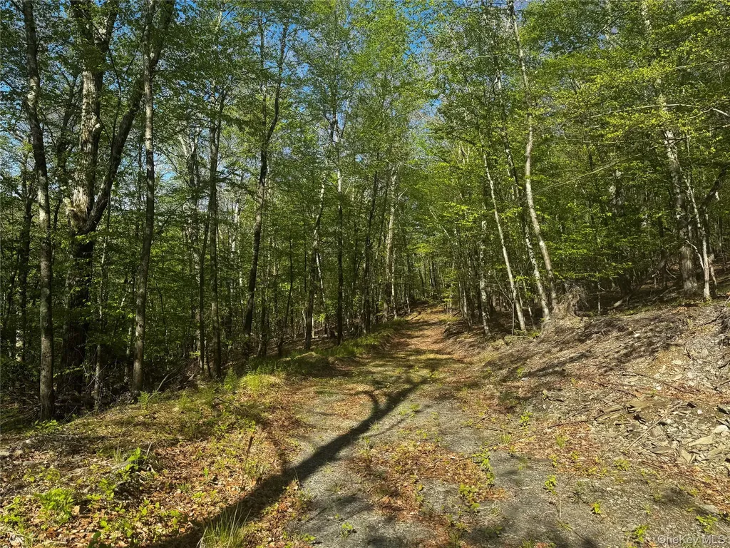 Hall Hill Road Ancram NY 12502