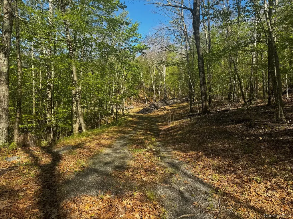 Hall Hill Road Ancram NY 12502