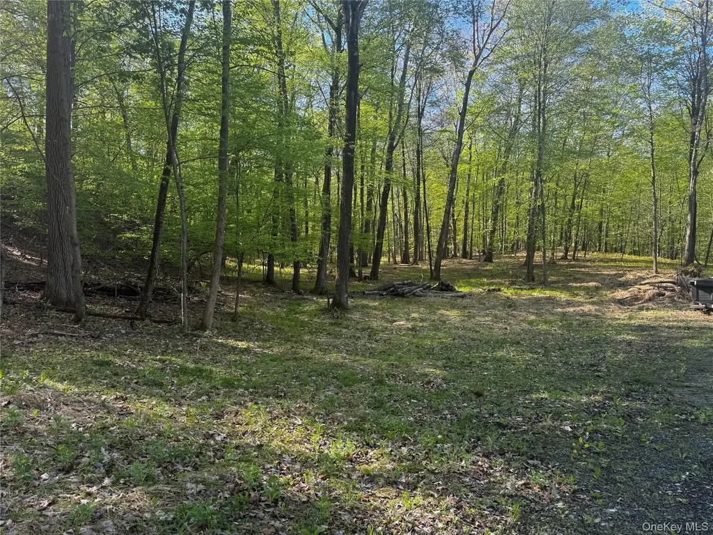 Hall Hill Road Ancram NY 12502