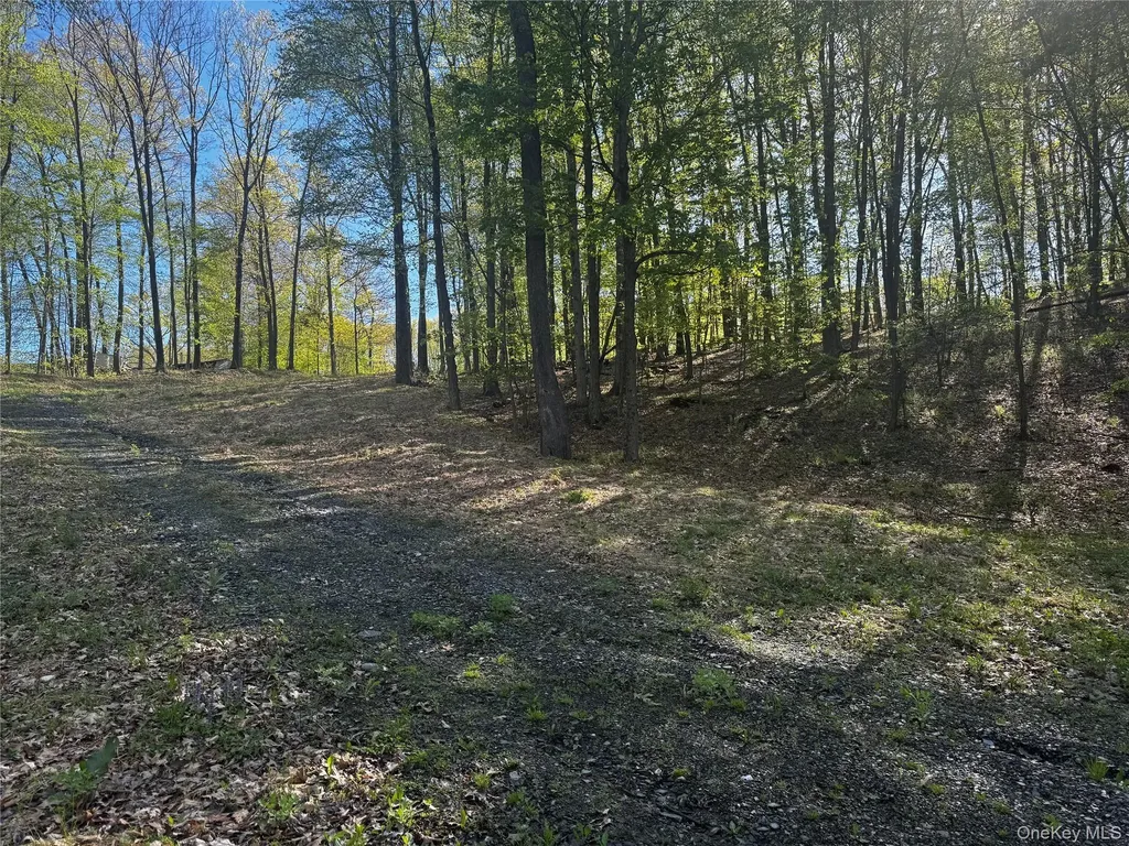 Hall Hill Road Ancram NY 12502